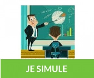 Simulation